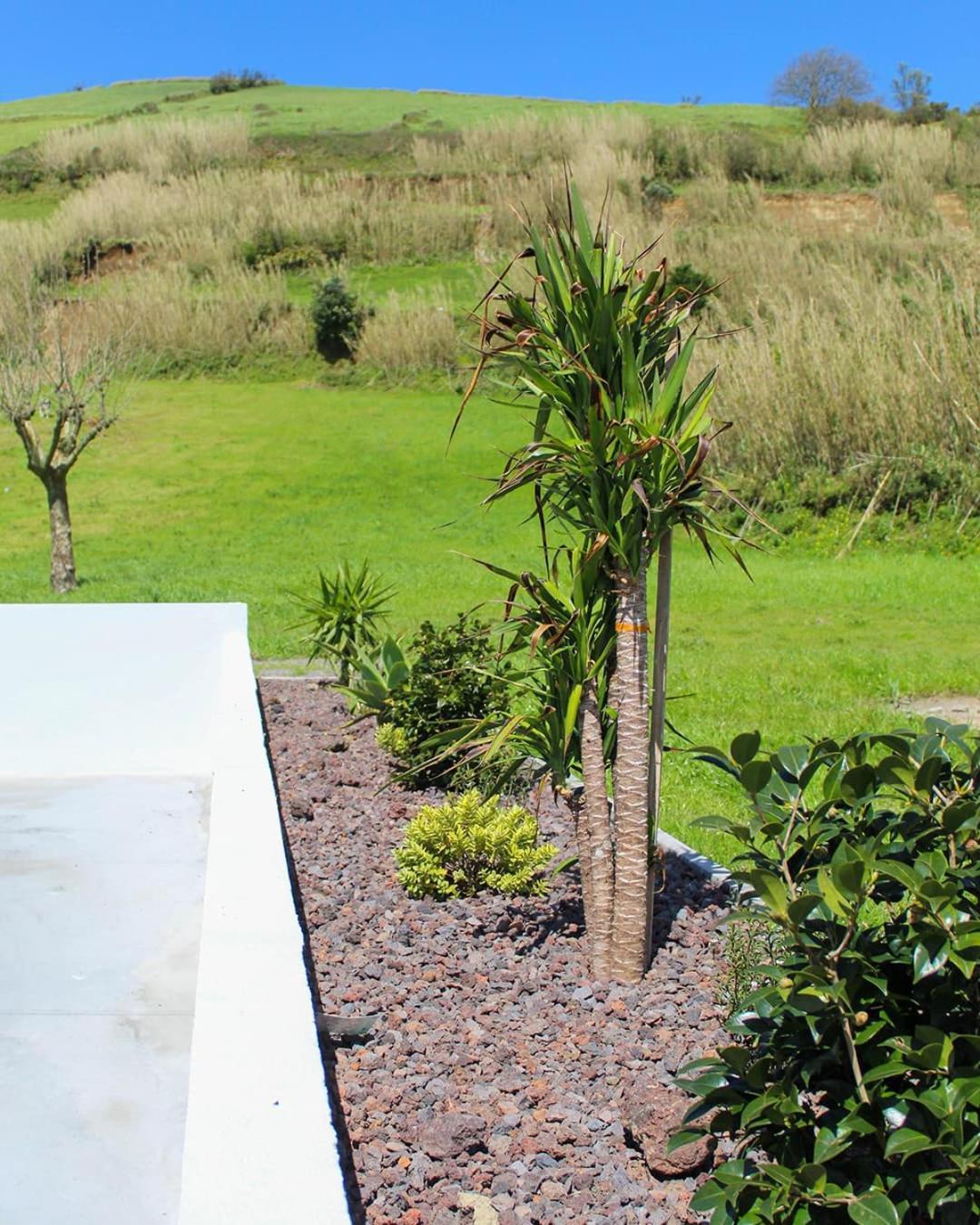 Dreamscape Villa Ponta Delgada Eksteriør billede